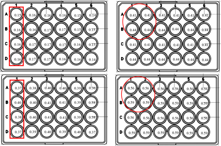 Fig. 2