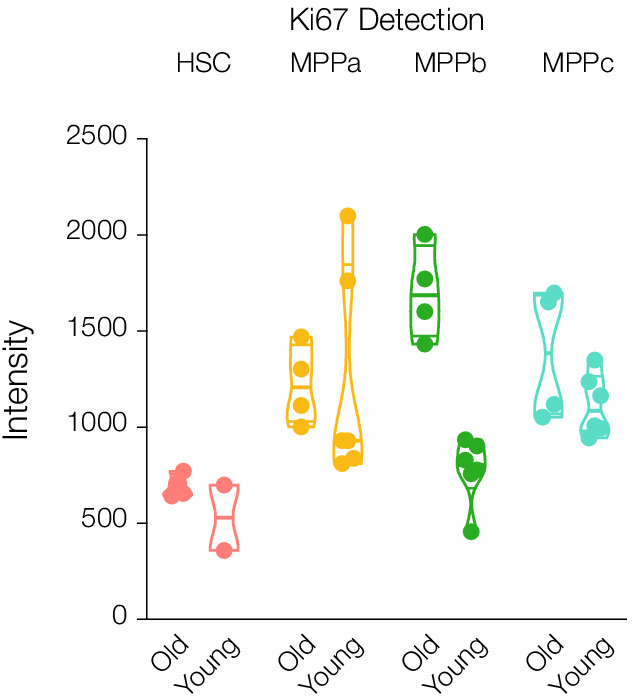 Figure 3—figure supplement 2.