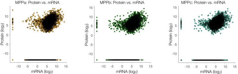 Figure 4—figure supplement 1.