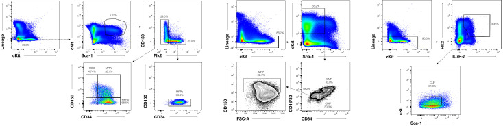 Figure 1—figure supplement 1.