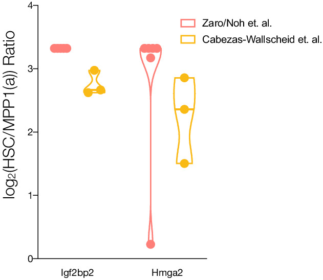 Figure 2—figure supplement 2.