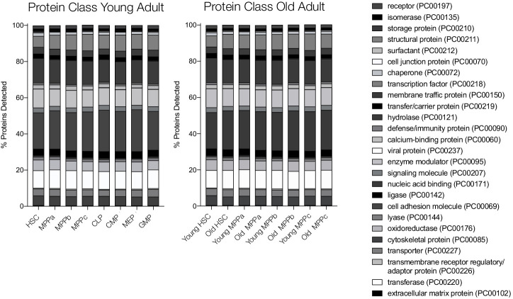 Figure 1—figure supplement 2.