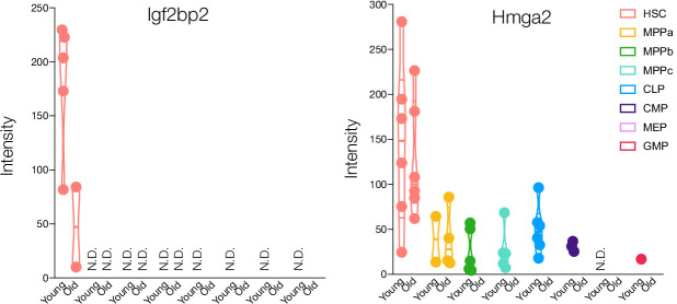 Figure 2—figure supplement 3.