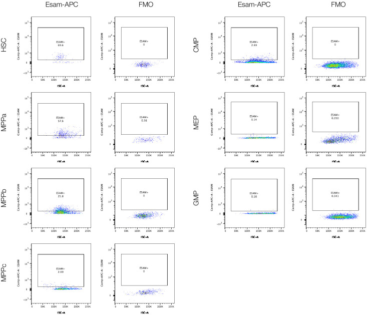 Figure 2—figure supplement 1.