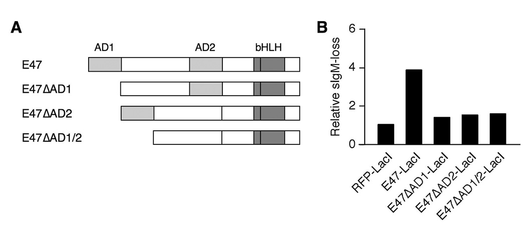 FIGURE 3