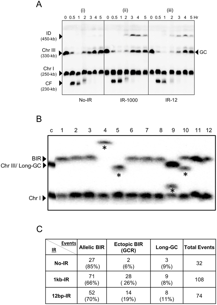 Fig 8