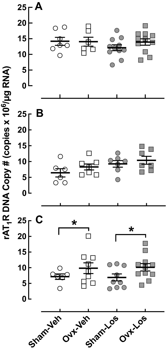 Fig. 7