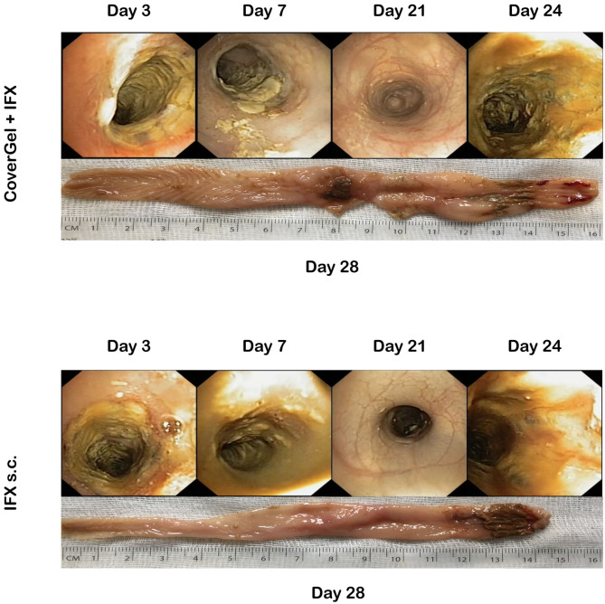 Figure 7