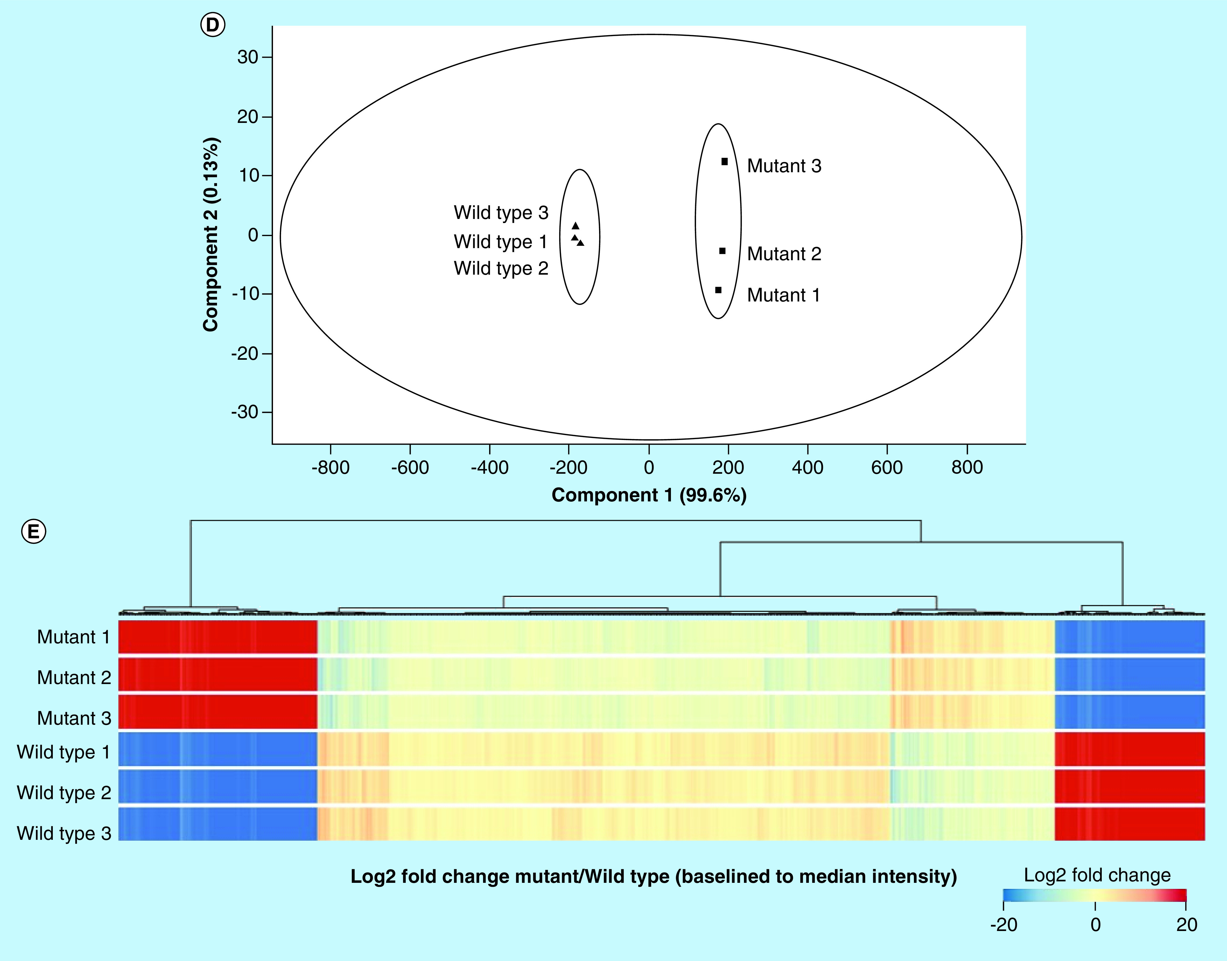 Figure 2. 