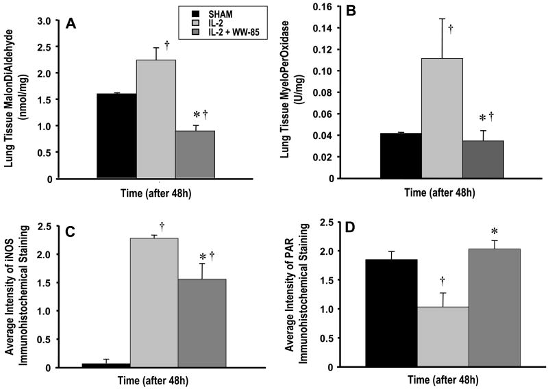 FIG 2