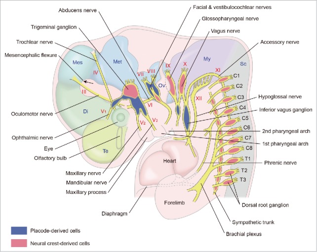 Figure 1.