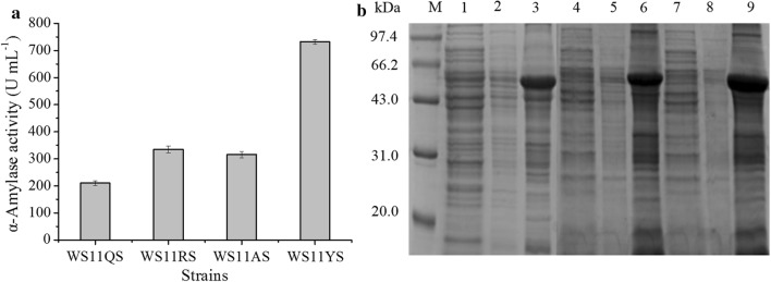 Fig. 3