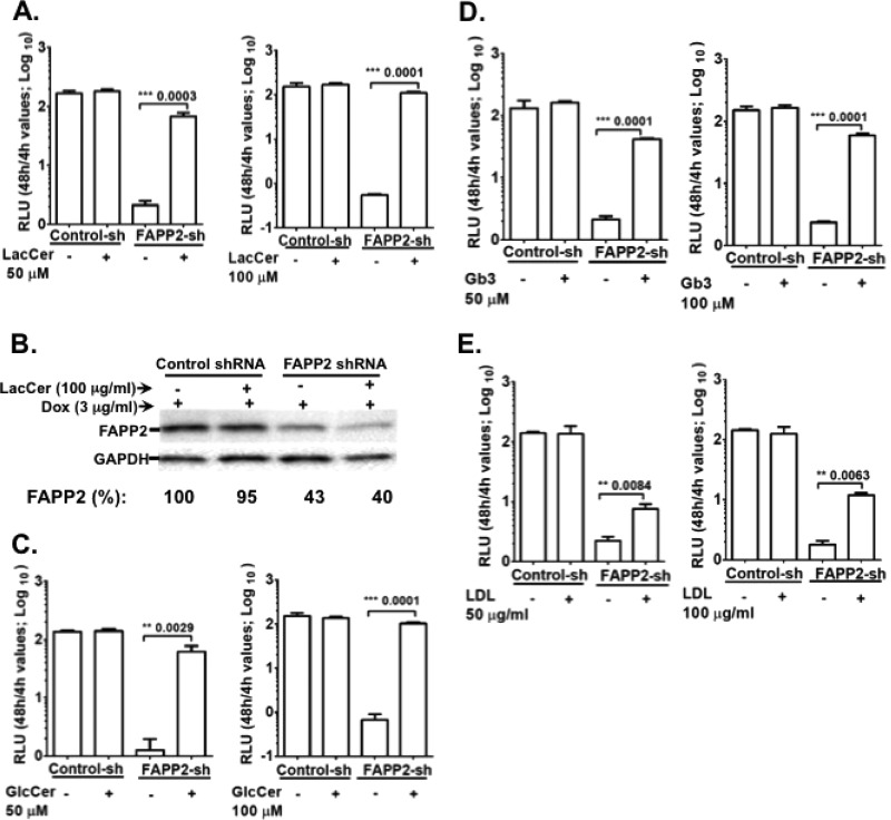 FIG 6