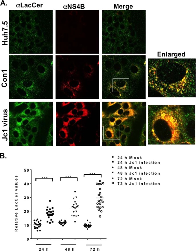 FIG 8