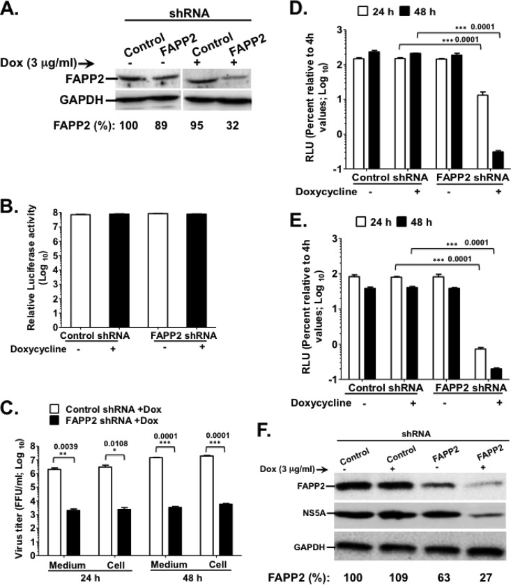 FIG 2