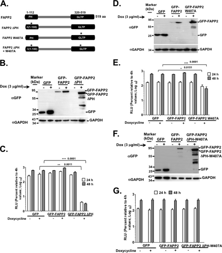 FIG 4