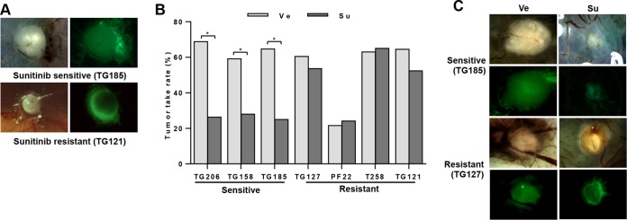 FIG 6