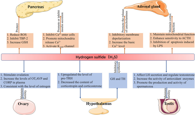 Figure 1