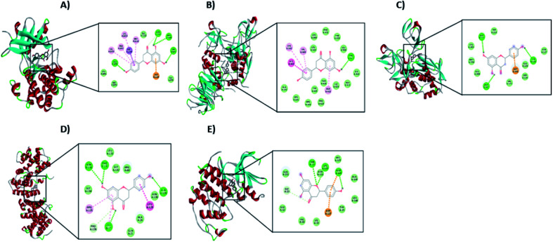 Fig. 10