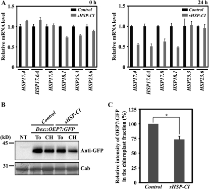 Figure 10.