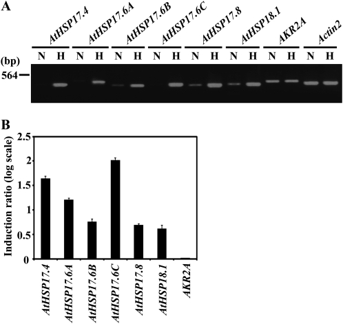 Figure 7.