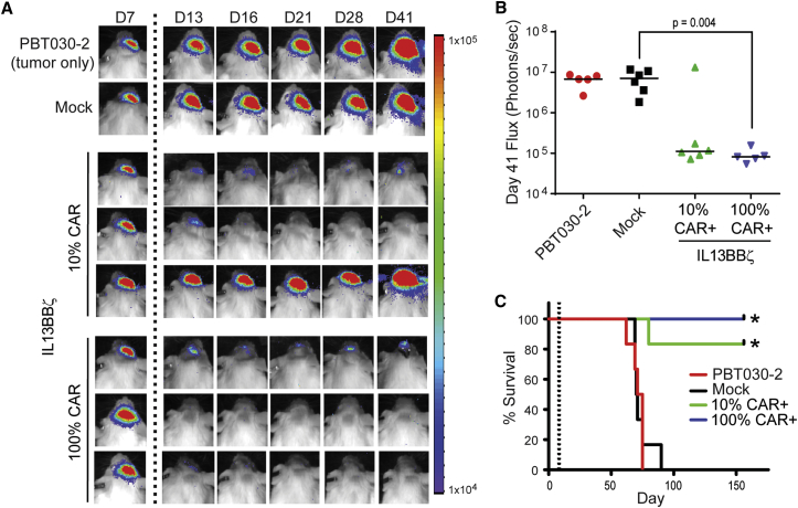 Figure 4