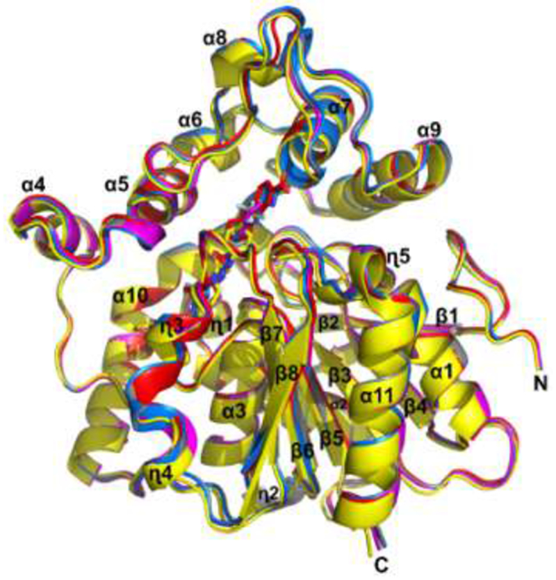 Figure 2.