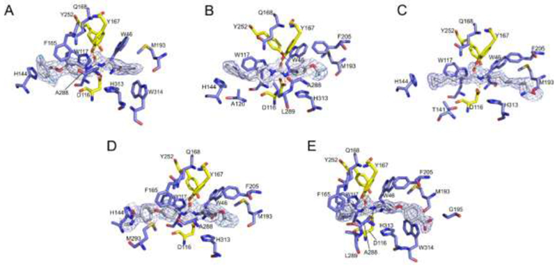 Figure 3.