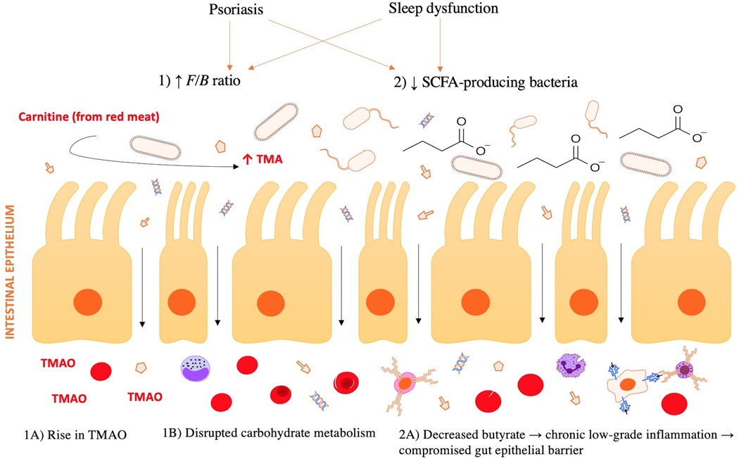 Figure 2 legend: