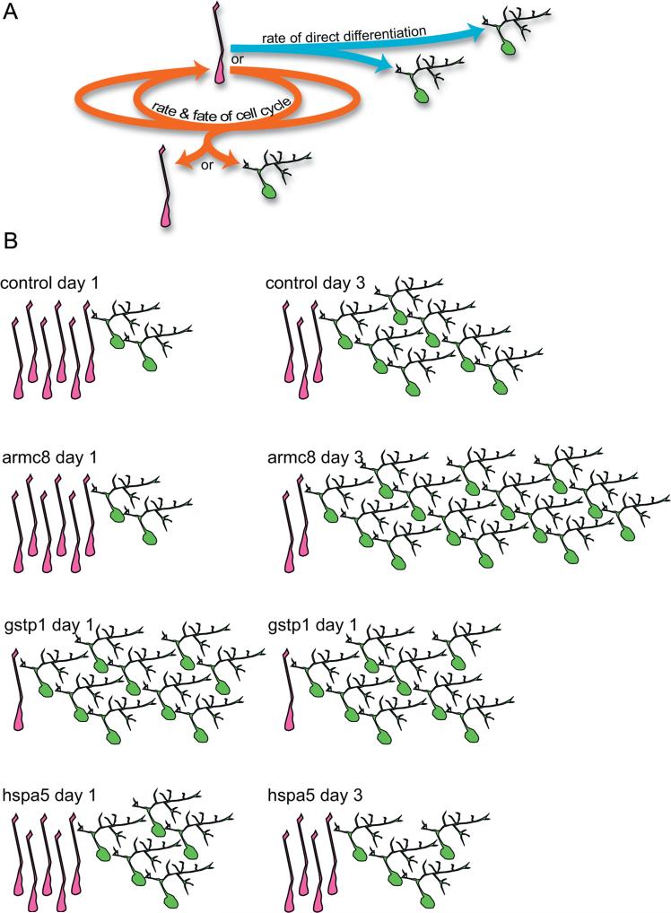 Fig. 10