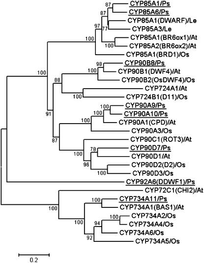 Figure 3.