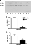 Fig. 9.