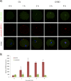 FIG. 1