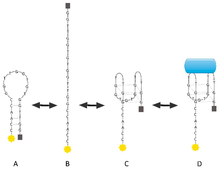 Figure 8