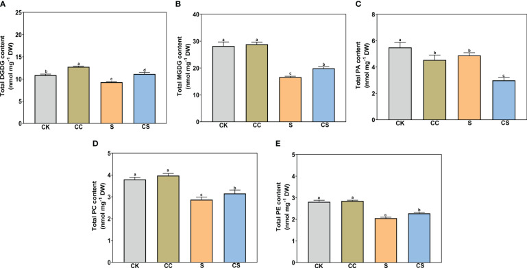 Figure 4