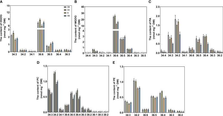 Figure 6