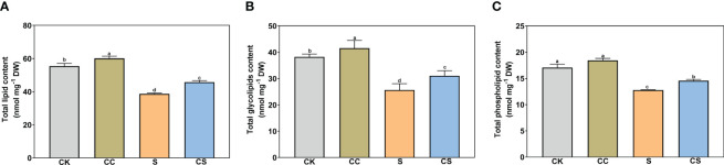 Figure 3