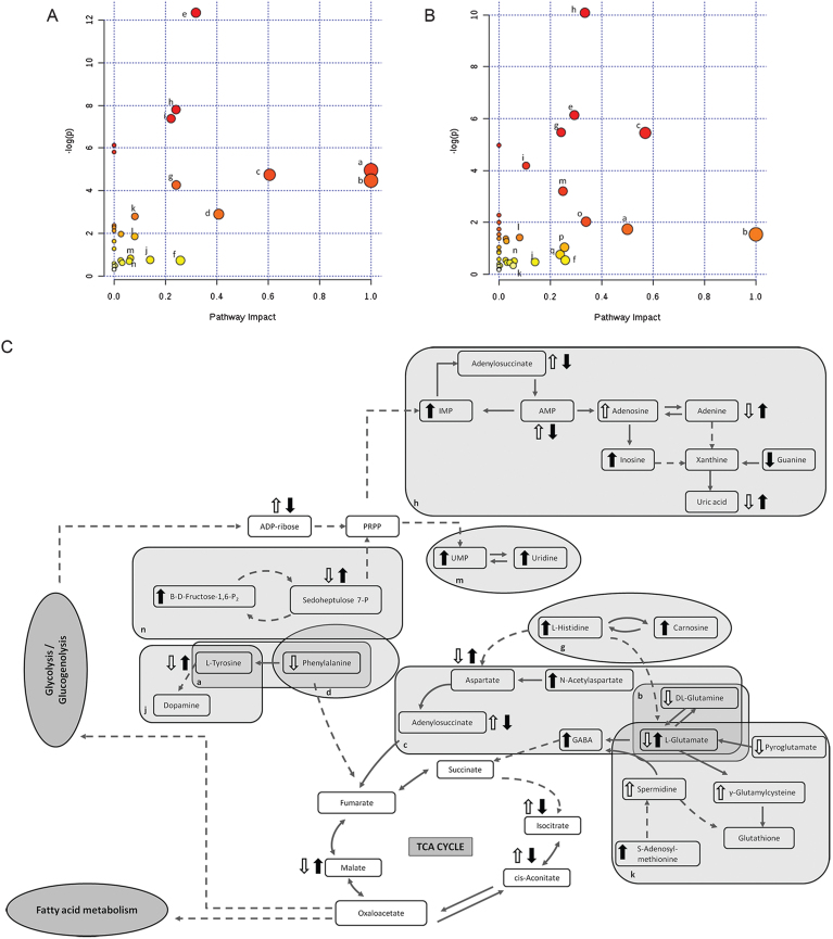 Fig. 6.