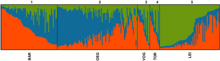 Figure 5