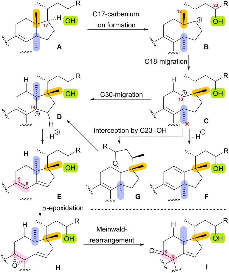 Scheme 1