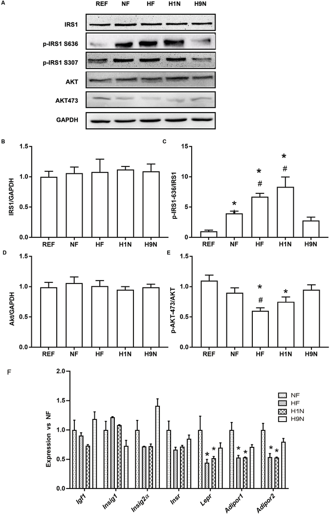 Figure6.