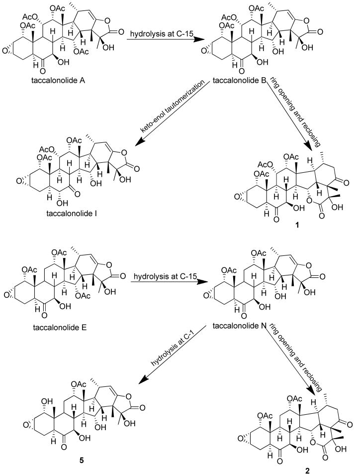 Scheme 1