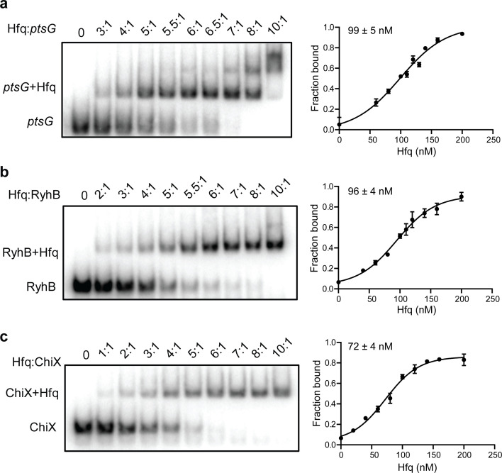 Figure 3—figure supplement 1.