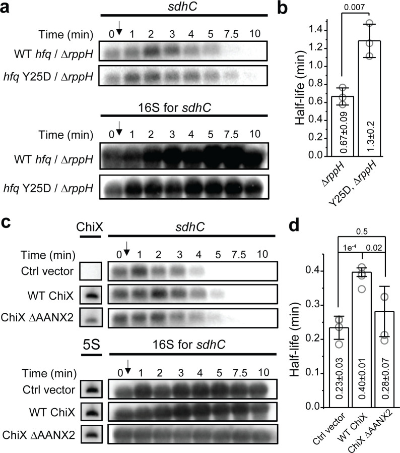 Figure 6.