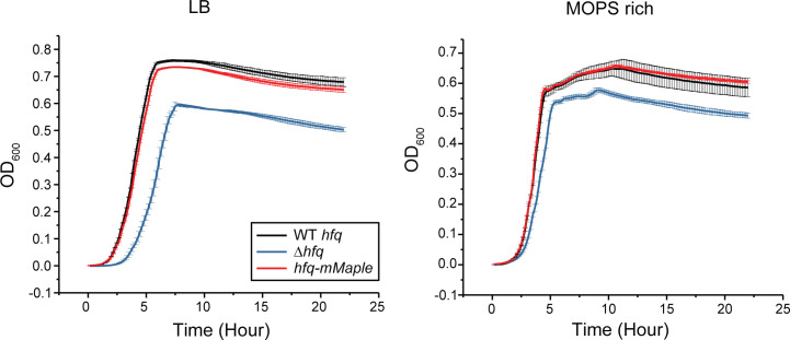 Figure 1—figure supplement 1.