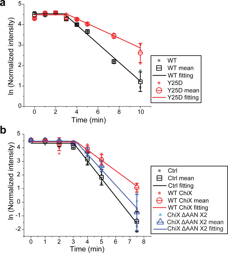 Figure 6—figure supplement 1.