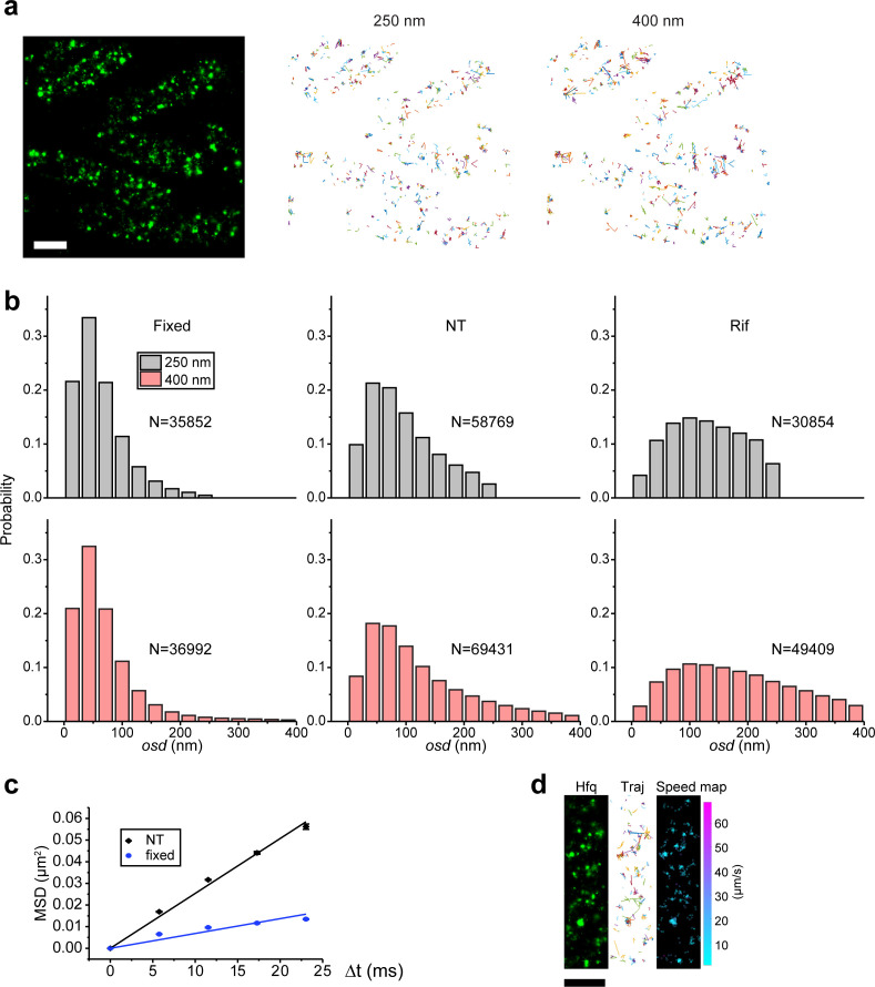 Figure 1—figure supplement 3.