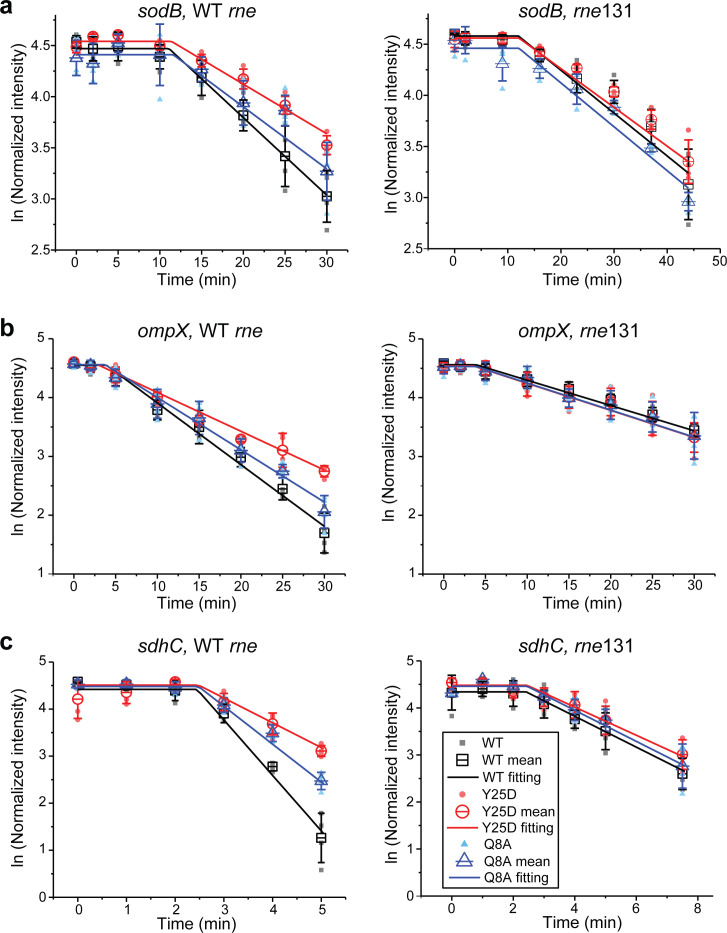 Figure 5—figure supplement 1.