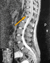 Fig 1: