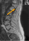 Fig 2: